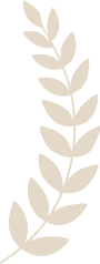 Leaf Image