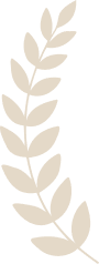 Leaf Image